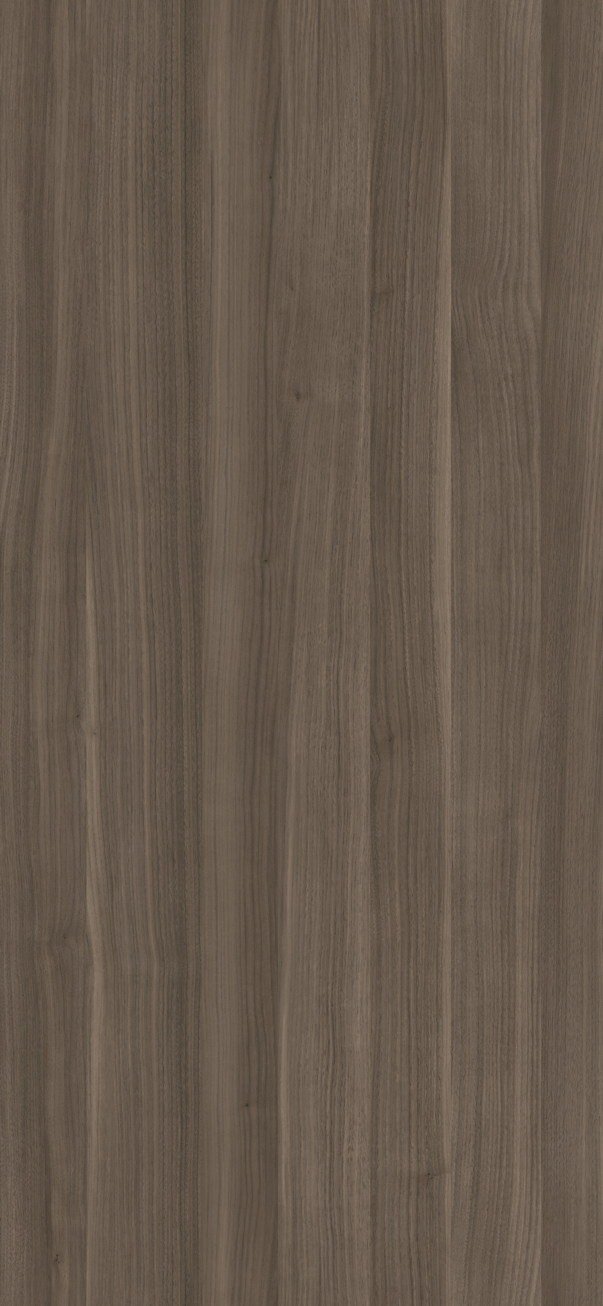 Modus Film Interprint